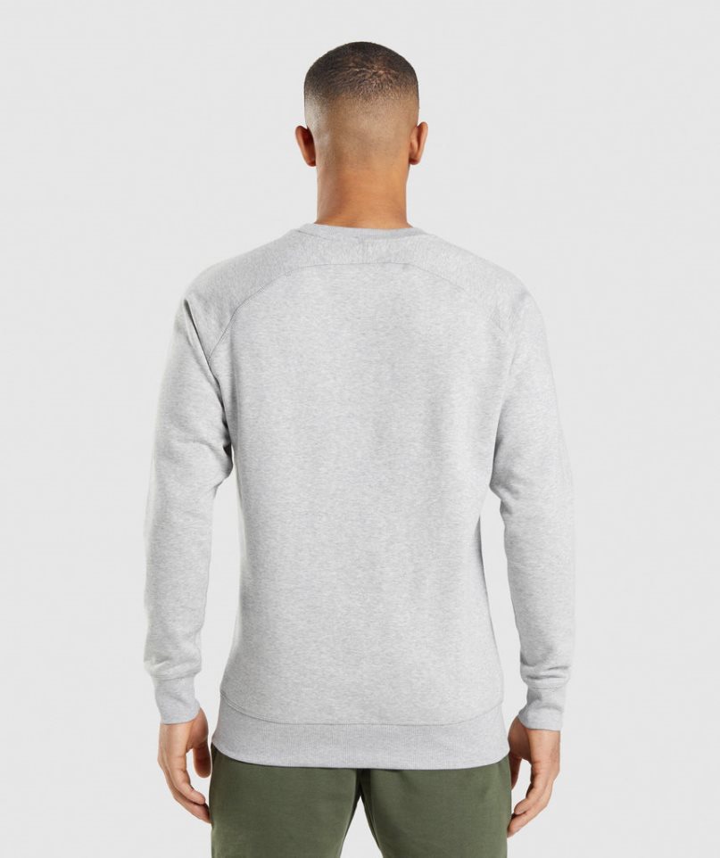 Men's Gymshark Crest Sweatshirts Light Grey | NZ 9IUZJA